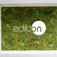 EDIBON INTERNATIONAL